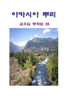 아카시아 뿌리