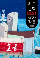 소금 ; 강경애 (한국 문학 BEST 작가 작품) 표지 이미지