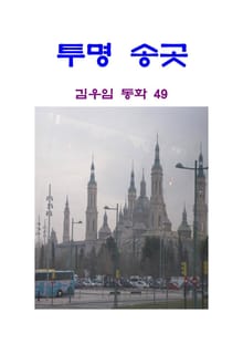 투명 송곳
