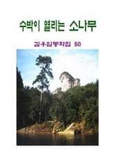 수박이 열리는 소나무 표지 이미지