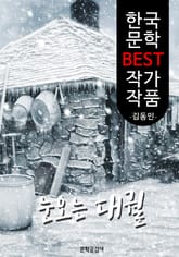 눈 오는 대궐(大闕); 김동인 (한국 문학 BEST 작가 작품) 표지 이미지