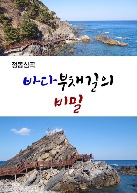 <정동 심곡> 바다부채길의 비밀 표지 이미지