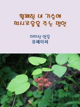 황폐한 내 가슴에 따사로움을 주는 명언 표지 이미지