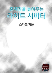 라이트 서비터