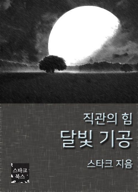 달빛 기공 표지 이미지