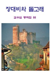 장대비와 돌고래 표지 이미지