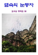 댐 속의 눈동자 표지 이미지