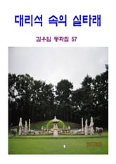 대리석 속의 실타래 표지 이미지