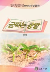 한국 단편소설 다시 읽는 한국문학 금따는 콩밭 표지 이미지