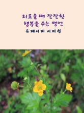 외로울 때 잔잔한 행복을 주는 명언 표지 이미지