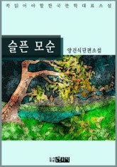 슬픈 모순 - 양건식 단편소설 표지 이미지