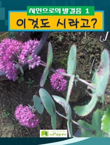 이것도 시라고?
