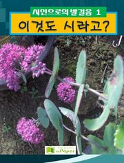 이것도 시라고?
