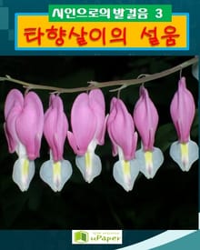 타향살이의 설음