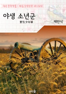 야생 소년군 : 채만식 (희곡 문학작품 - 마음 토닥토닥 다스리기)