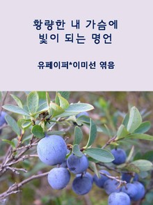 황량한 내 가슴에 빛이 되는 명언