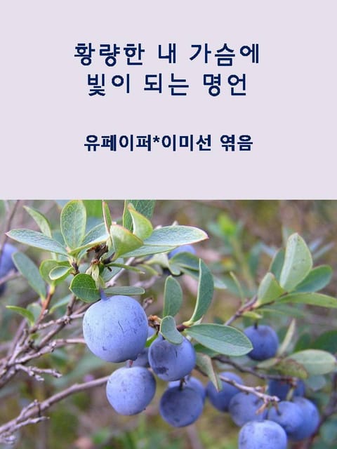 황량한 내 가슴에 빛이 되는 명언 표지 이미지