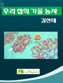 우리 집의 가을 농사