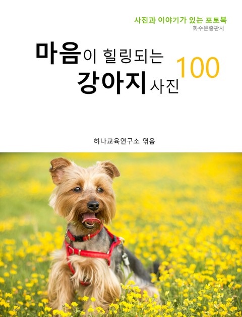 마음이 힐링되는 강아지 사진 100 표지 이미지