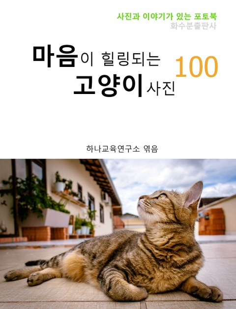 마음이 힐링되는 고양이 사진 100 표지 이미지