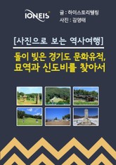 [사진으로 보는 역사여행] 돌이 빚은 경기도 문화유적, 묘역과 신도비를 찾아서 표지 이미지