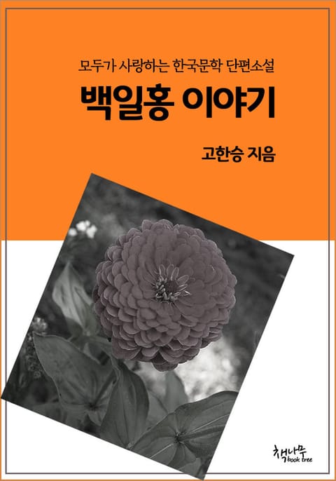 백일홍이야기 표지 이미지