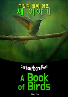 그림과 함께 읽는 '새' 이야기 (A Book of Birds) : 영어 원서 읽기