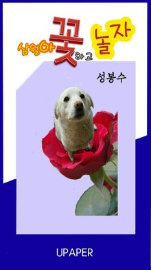 삼월아! 꽃하고 놀자 ①(2011.07.05_2012.02.12)