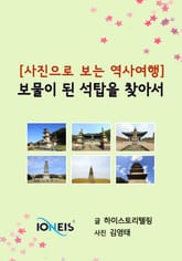 [사진으로 보는 역사여행] 보물이 된 석탑을 찾아서 표지 이미지