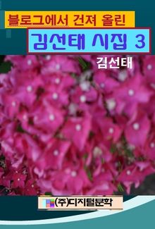 블로그에서 건져 올린 김선태시집 3