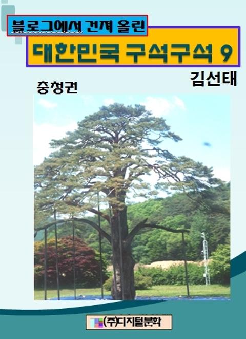 블로그에서 건져 올린 대한민국 구석구석 9 표지 이미지