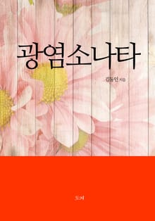 광염소나타
