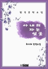 아내의 자는 얼굴 표지 이미지