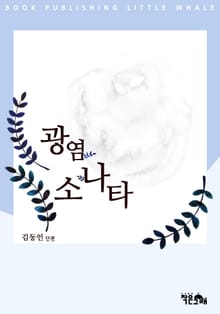 광염 소나타