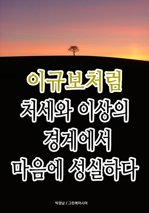 이규보처럼 - 처세와 이상의 경계에서 마음에 성실하다 표지 이미지