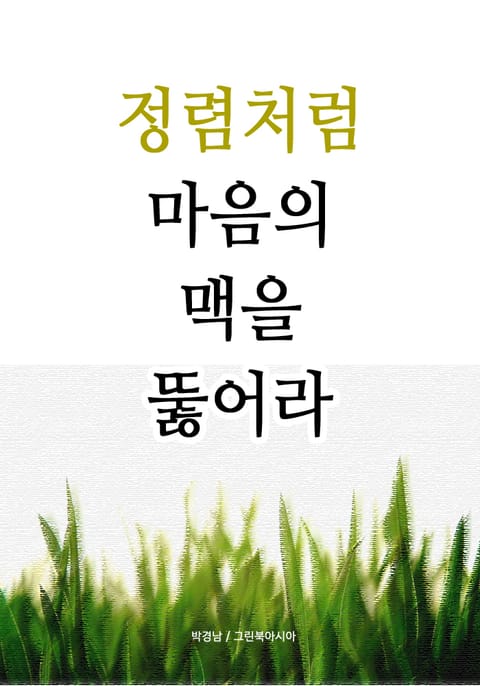 정렴처럼 - 마음의 맥을 뚫어라 표지 이미지