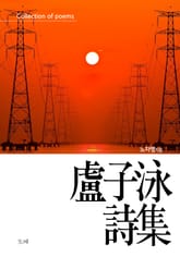 노자영시집 표지 이미지