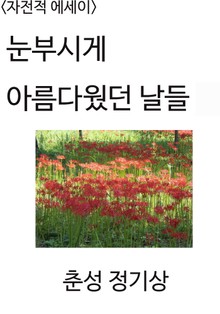 <자전적 에세이> 눈부시게 아름다웠던 날들