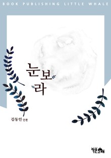 눈보라