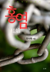 홍염 표지 이미지