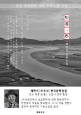 탁류(濁流) 하권 - 채만식 한국문학선집(장편소설) 표지 이미지