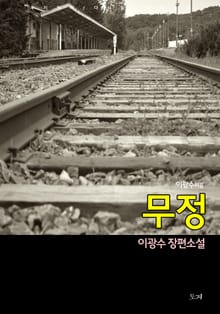 무정