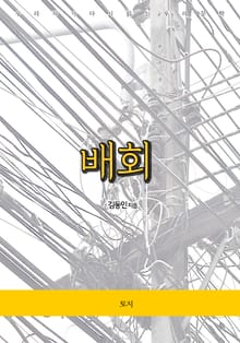 배회