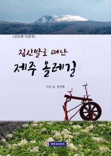 짚신발로 떠난 제주 올레길