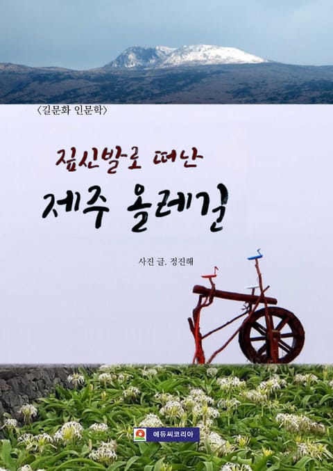 짚신발로 떠난 제주 올레길 표지 이미지