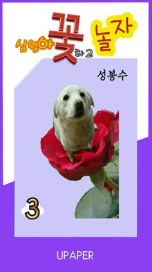 삼월아 꽃하고 놀자 ③