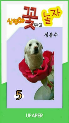 삼월아 꽃하고 놀자 ⑤