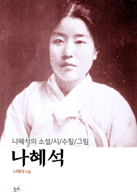 나혜석 표지 이미지