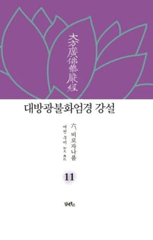대방광불화엄경 강설 11
