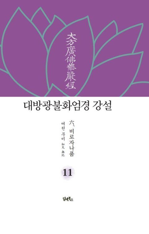 대방광불화엄경 강설 11 표지 이미지